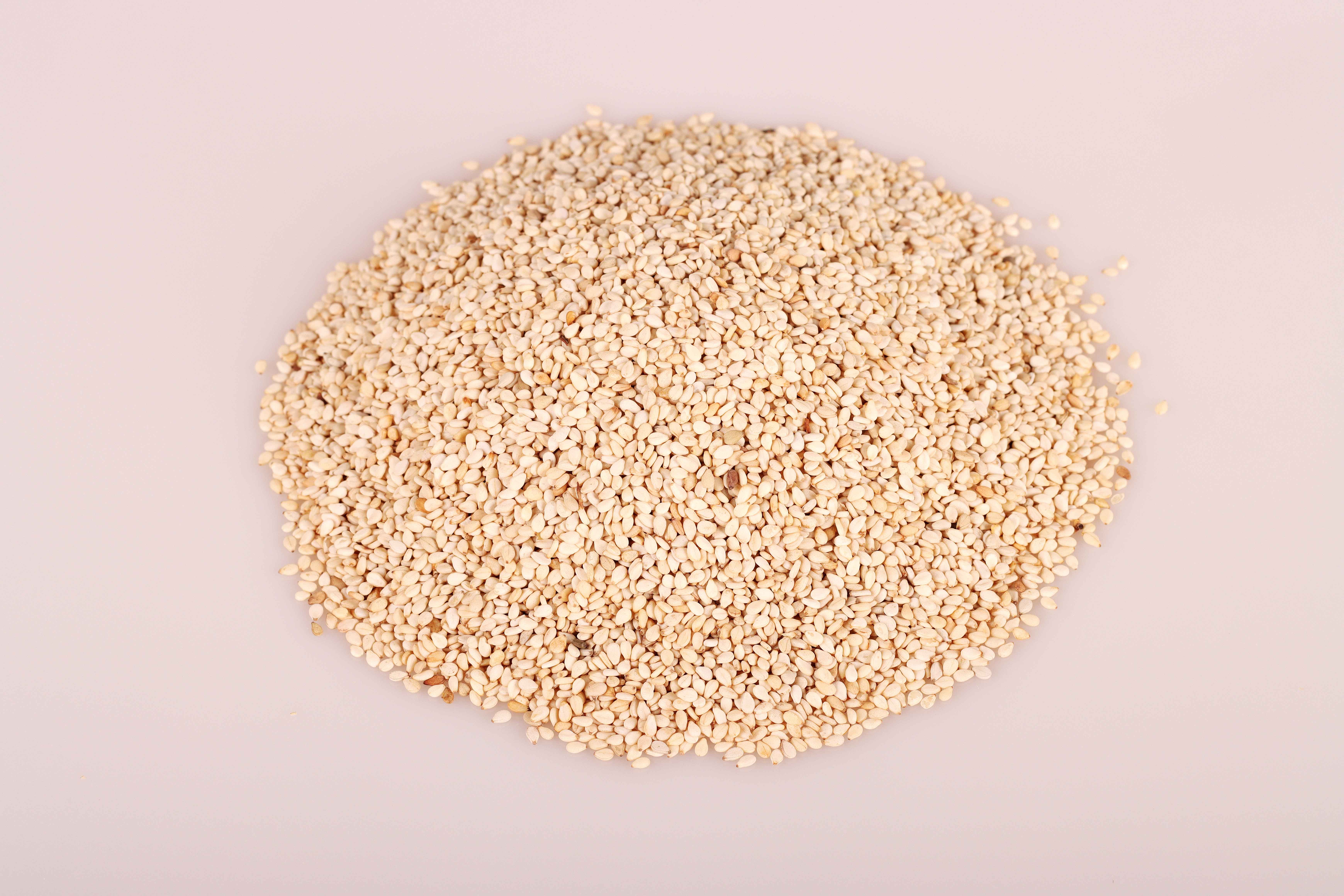 Selected white sesame