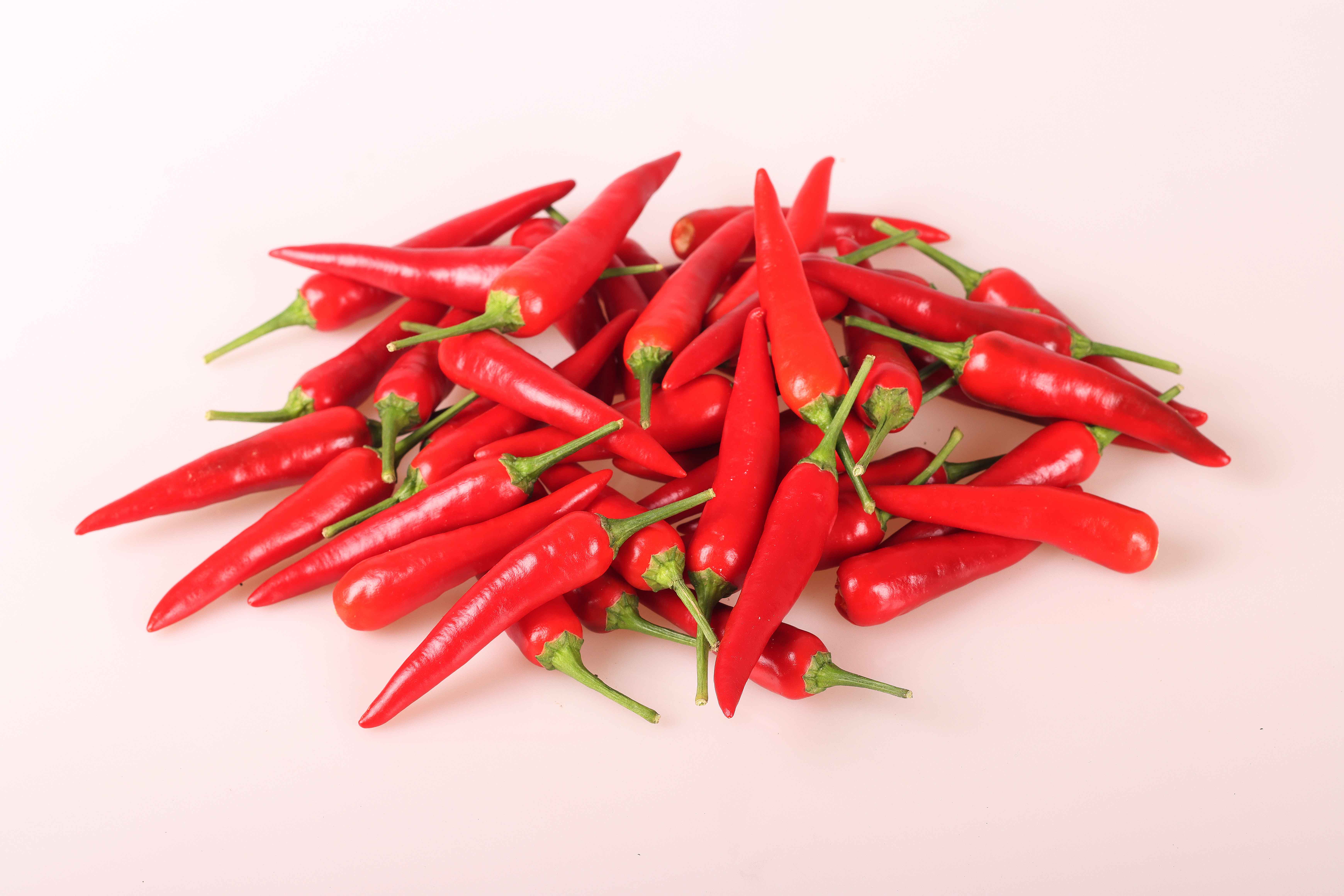 Hot pepper